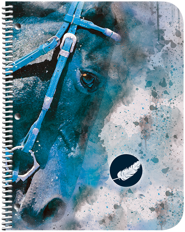 Première de couverture